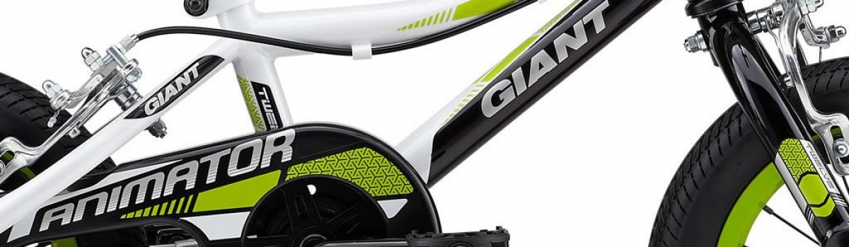 Vélo enfant Giant