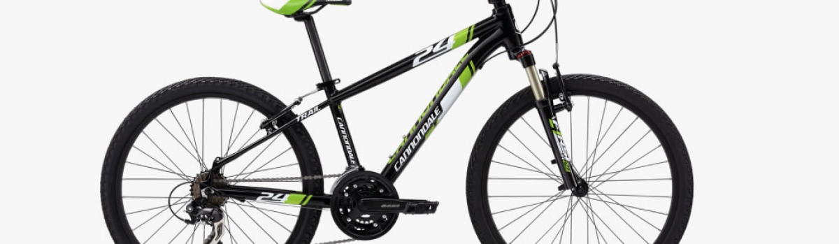 Vélo enfant Cannondale