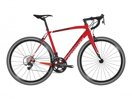 Specialized Allez Jr. 650 C