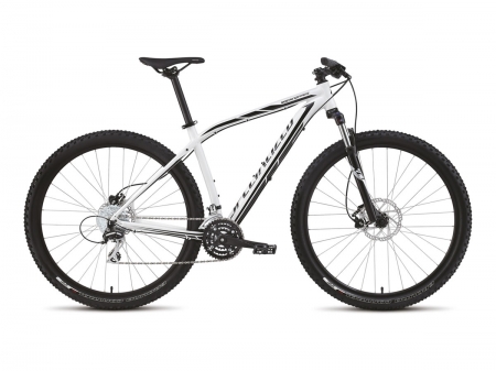 Specialized Rockhopper 29