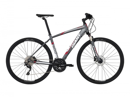 Giant Roam 1 Disc LTD