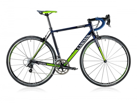 Canyon Endurace AL 7.0 Team