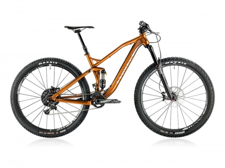 Canyon Spectral AL 9.9 EX